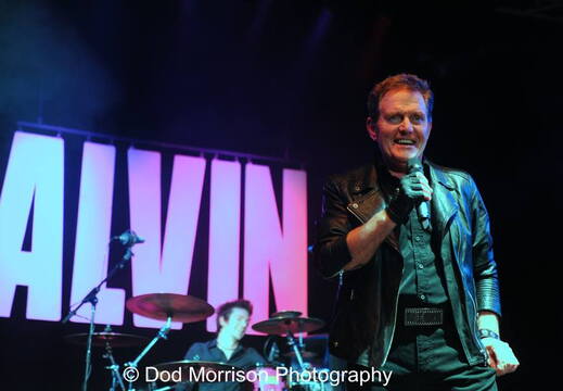 Alvin Stardust