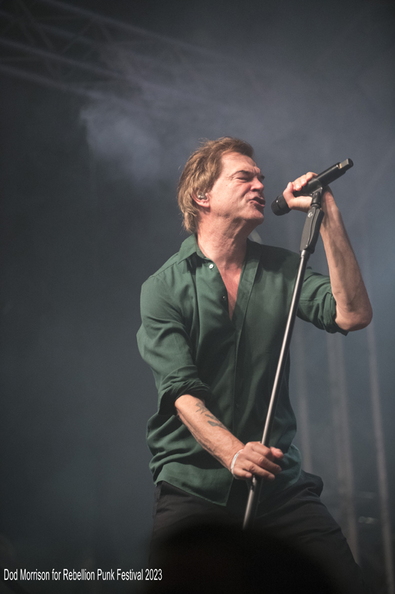 Die Toten Hosen Rebellion 2023.jpg