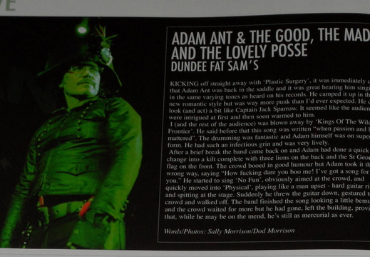 Adam ant