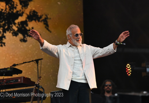 Cat Stevens @ Glastonbury 2023 