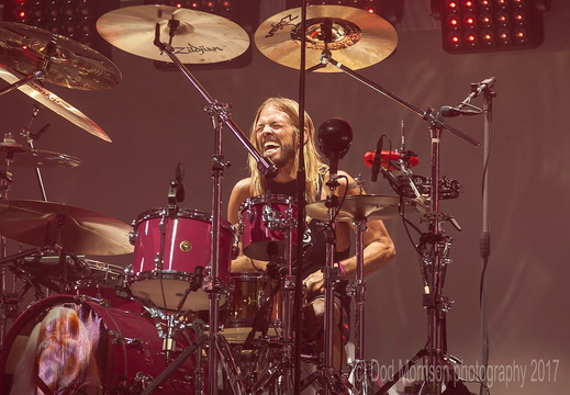 Taylor hawkins