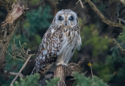 SEO Aberdeen 11-1-24 