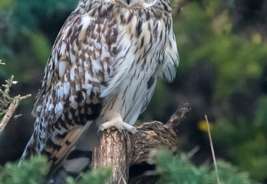 SEO Aberdeen 11-1-24 