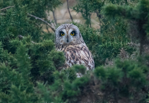 SEO Aberdeen 11-1-24 
