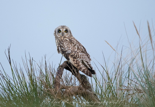 SEO Aberdeen 11-1-24 